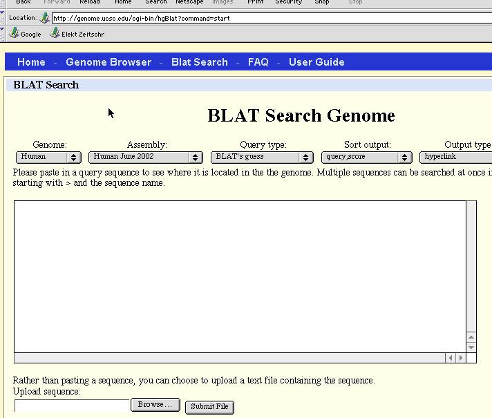 Ultraschnelle DB-Suche über BLAT BLAST-like alignment tool DNA-BLAT findet 40 Bp (>95% id) bzw.