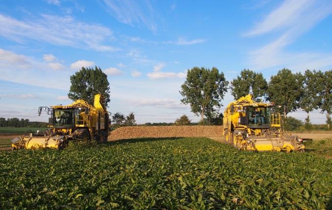 000 ha. Maissilage-Ernte von 4.000 ha. Zuckerrübenernte von 6.000 ha. Bodenbearbeitung auf 3.