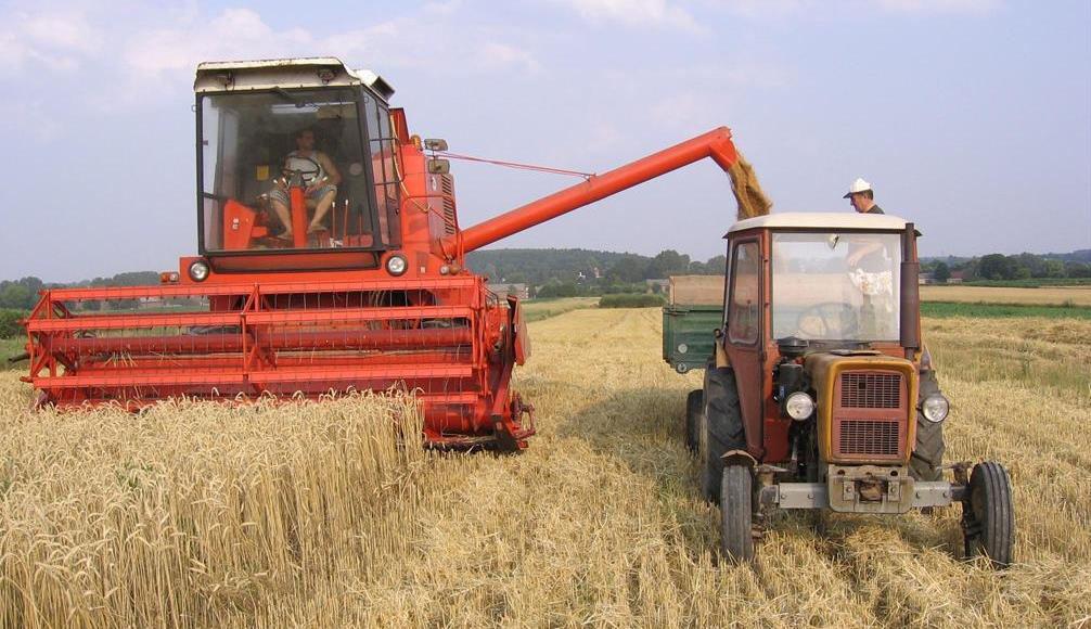 Polen nicht decken Polen war Importeur von Feldfrüchten Die durchschnittliche Betriebsgröße