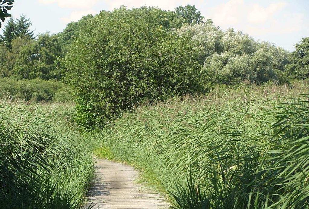 führt. Der Weg kann nach Regenfällen unter Wasser stehen, meist ist aber Schuhe ausziehen nicht erforderlich.