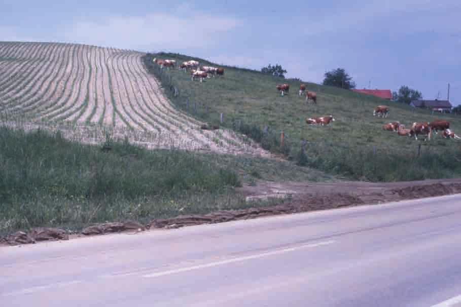 7 Bodenerosion in Bayern Rudolf Rippel Bayerische Landesanstalt für Landwirtschaft, Institut für Agrarökologie, Ökologischen Landbau und Bodenschutz Bodenerosion oder Bodenabtrag ist die durch Wasser