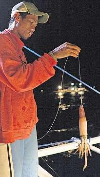 66 einkaufen&profitieren Fischer Calib hat einen Kalmar mit dem Netz gefangen und braucht ihn als Köder für die Thunfische.