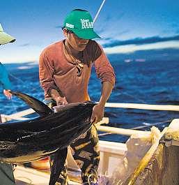 Frischer Thun: So werden die Bestände nachhaltig gesichert Das Gebiet, in dem Johnson Peralta Thunfische fängt, gehört zu einem WWF- Förderprojekt für nachhaltigen Thunfisch-Fang.