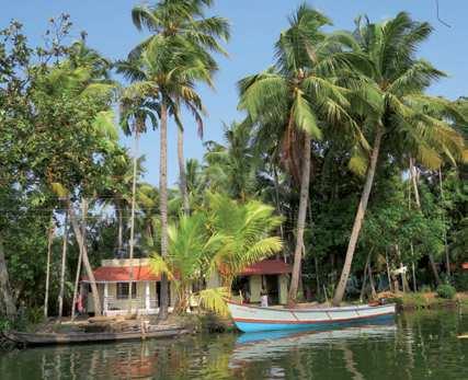 Stätte der Hindus. Kerala ist das Land der Kokospalmen, Gewürze und des Ayurveda.