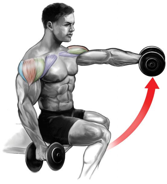 Beteiligte Muskeln Primär: Vorderer Deltamuskel. Sekundär: Oberer großer Brustmuskel, Trapezmuskel.