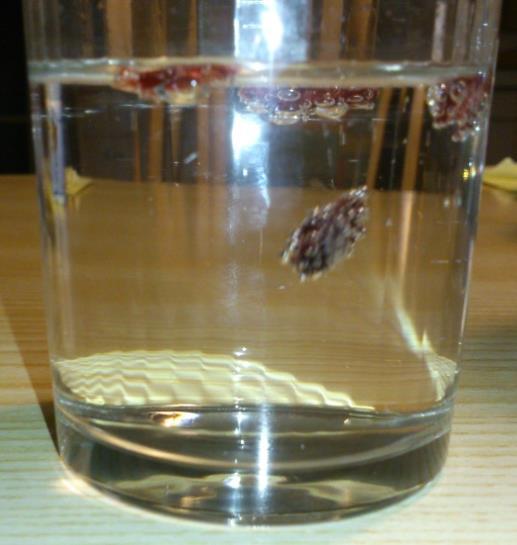 7. Forscherauftrag: Rosinen & ihre Schwimmflügel 1 Trinkglas Mineralwasser Rosinen Was glaubst du? Können Rosinen im Mineralwasser schwimmen? Kreise ein: JA NEIN Probier s mal aus: 1.