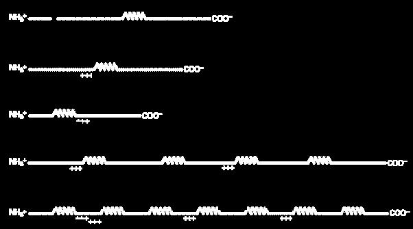 Ordnung der topogenen en 10. TYPEN I. Signal Lumen STA II. III. Lumen SA-III SA-II Lumen Gruppe IV.