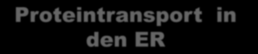 Pi ER Lumen Translokon (geschlossene)