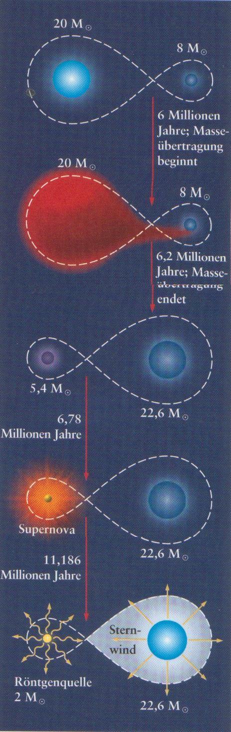 2. Entstehung von HMXB Entstehung des Röntgendoppelsterns Situation wie bei Algol-Konstellation Supernova hinterlässt schwarzes Loch und Stern mit Masse >10M