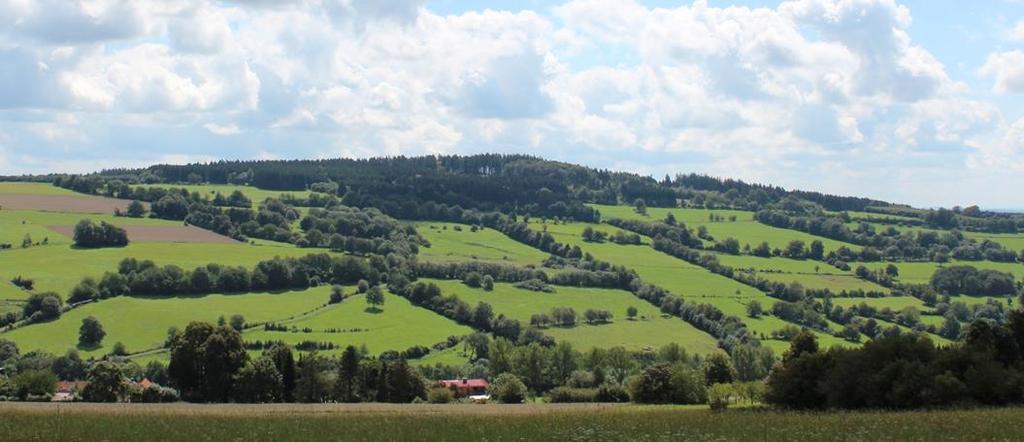 Zusammenfassung Ergebnisse Heckenprojekt Vogelsbergkreis