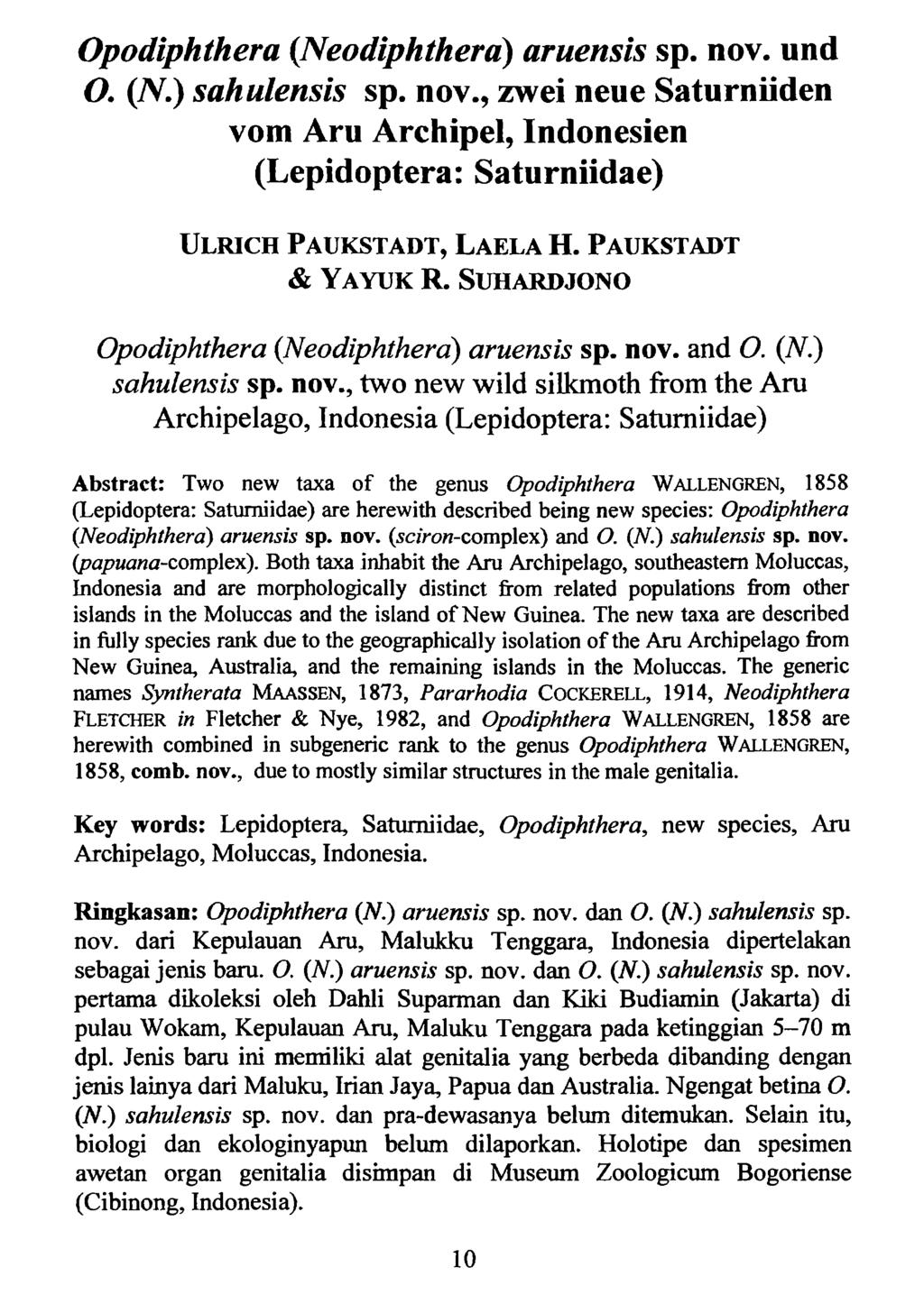 Kreis Nürnberger Entomologen; download unter www.biologiezentrum.at Opodiphthera (Neodiphthera) aruensis sp. nov.