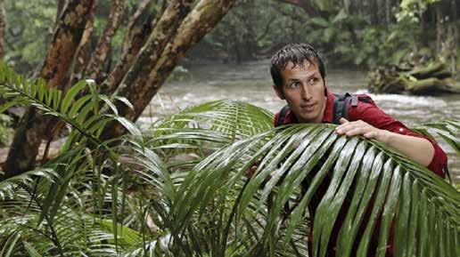 Im australischen Regenwald beobachtet er Krokodile, besucht ein Krankenhaus für Flughunde und findet Ameisen hoch oben in den Baumkronen.