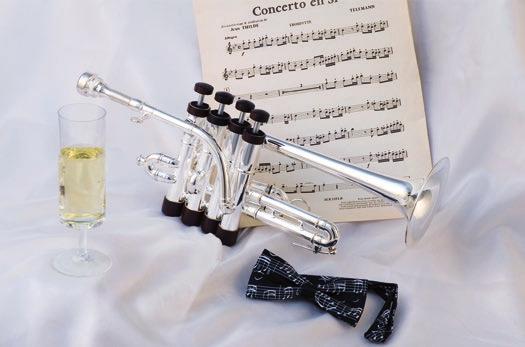 Die hohen Trompeten Masterpiece Piccolotrompete hoch B/A in versilberter Ausführung Optionale Ausstattung: 12 Edelholzknöpfe, wechselbares Schallstück, stimmbarer Einzugstrigger am 3.