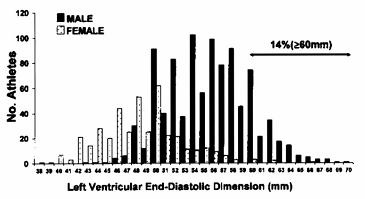 LV end-diastolic cavity dimension