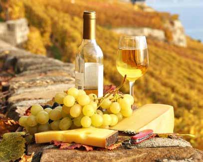 Im Herbst, wenn die Reben abgeerntet sind, leuchten die Weinstöcke noch in allen Farben von strahlend gelb bis dunkelrot und saftig grün.