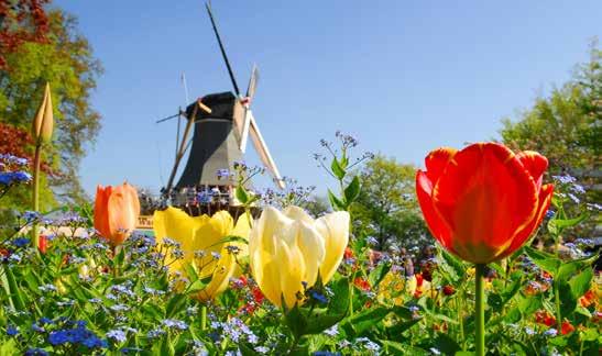 Holland zur Tulpenblüte Mit Grachtenfahrt in Amsterdam und Besuch Keukenhof REISELEITUNG Beate Ebel Wer an Holland denkt, verbindet damit Begriffe wie Tulpen und Hyazinthen, Holzschuhe, Windmühlen