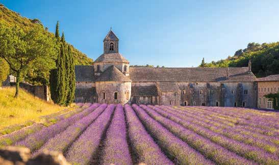 Und sie ist das Land einer reichen Geschichte, deren großartige steinerne Zeugen uns auf Schritt und Tritt begegnen. Die Römer lebten gut in der Provence.