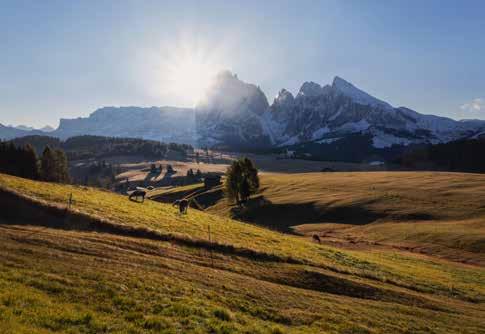 Gemeinsam mit einigen anderen Gebirgszügen wurden die Dolomiten im Jahr 2009 in die Liste des UNESCO-Weltnaturerbes aufgenommen.