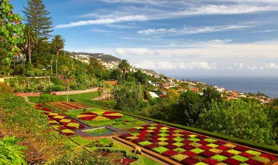 Blumeninsel Madeira Eine Insel für jede Jahreszeit REISELEITUNG Marianne Huber Die Insel des ewigen Frühlings.