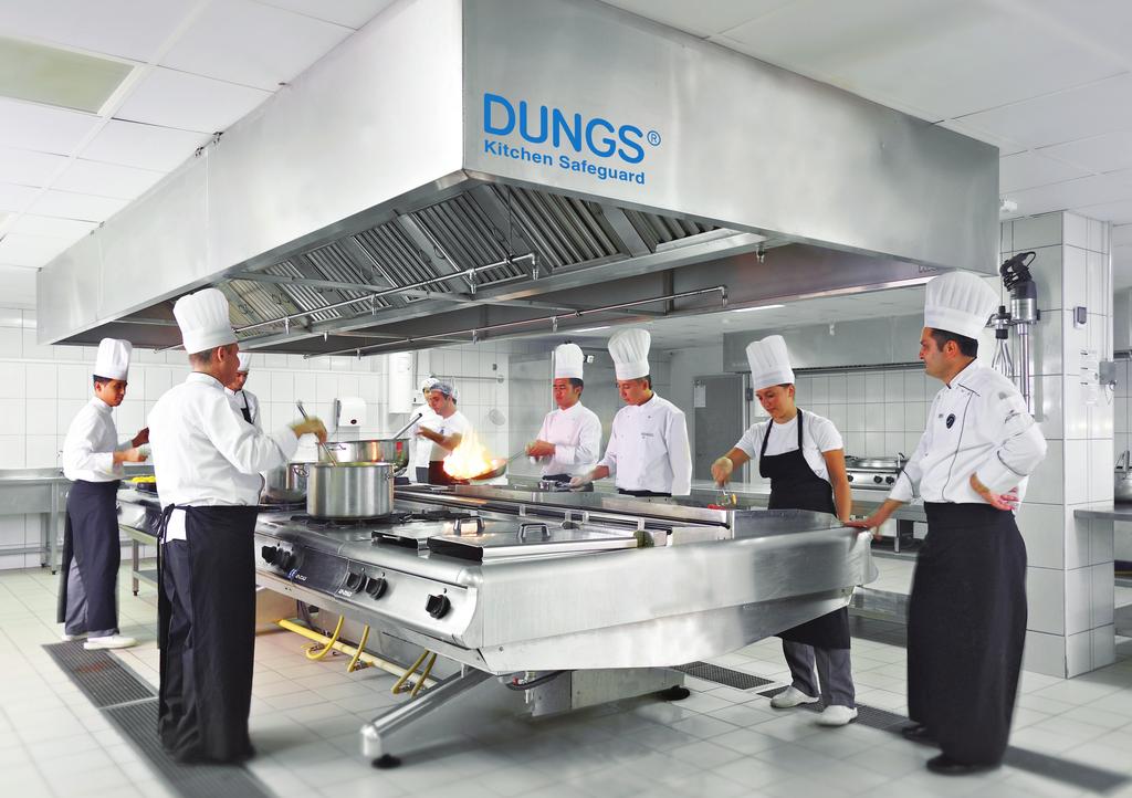 01/2015 DUNGS System Solutions DKS - System zur