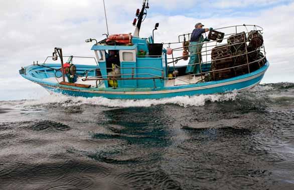 org/projects/fisheries OCEAN2012 ist ein Zusammenschluss von Organisationen, die im Rahmen der Reform der europäischen Fischereipolitik Überfischung und destruktive Fangmethoden beenden und eine