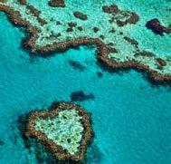 Unter der Wasseroberfläche erwartet den Besucher ein zweites Paradies: das Great Barrier Reef, das größte Korallenriff der Welt.