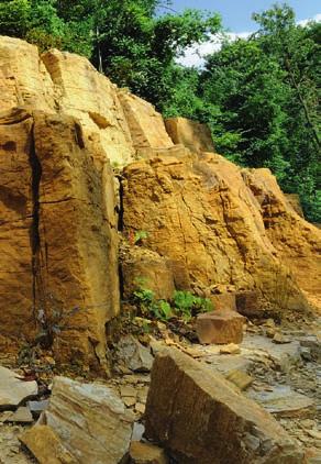 Die Geschichte der Westerberger Steinbrüche In und um Osnabrück finden sich auf engem Raum Gesteine aus unterschiedlichsten erdgeschichtlichen Formationen: vom Ober karbon (Erdaltertum, zum Beispiel