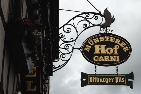 Nach insgesamt 7 ¾ Stunden Gehzeit und 26,2 Km sind wir am Hotel Münsterer Hof In Münster- Sarnsheim angekommen.