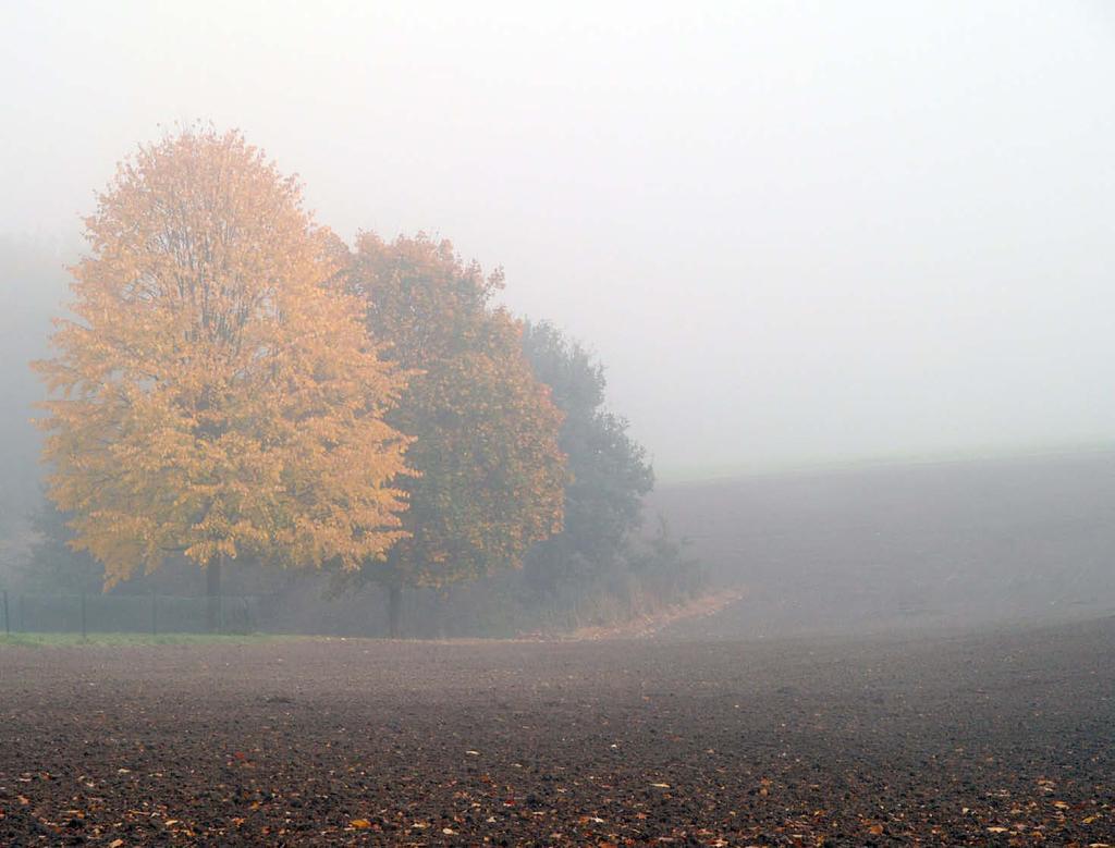 70 Bel i c h t u n g s - u n d Pr o g r a m m f u n k t i o n e n Nebel am Herbstmorgen Nebel ist immer sehr schwer zu fotografieren. Immerhin ist die Stimmung dunkel, trist und farblos.