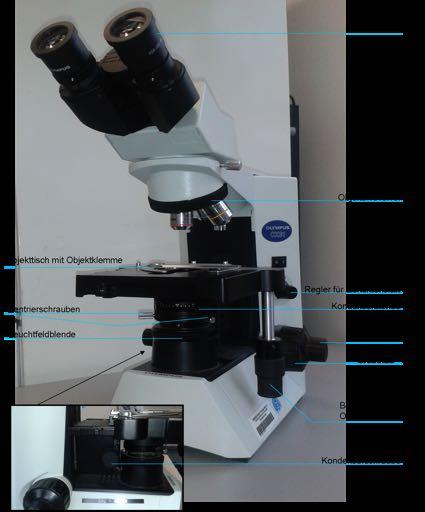 1.3 Mikroskopie Weitere Information erhalten Sie