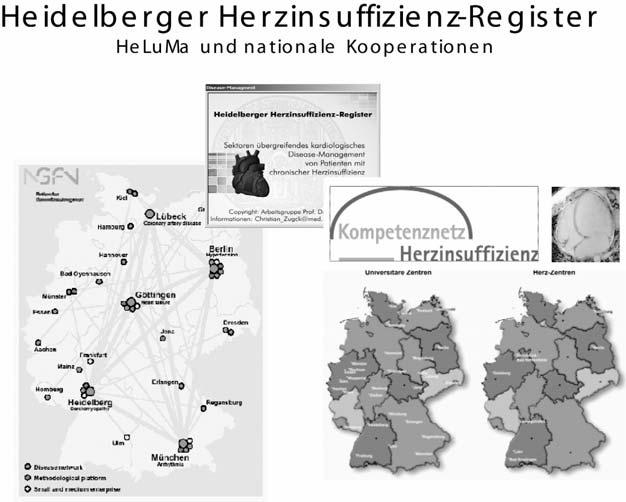 Transplantationsmedizin 2010, 22. Jahrg., S. 30 Ch. Zugck: Risikostratifikation vor Herztransplantation Abb. 2: Heidelberger Herzinsuffizienz-Register: HeLuMA und ggf.