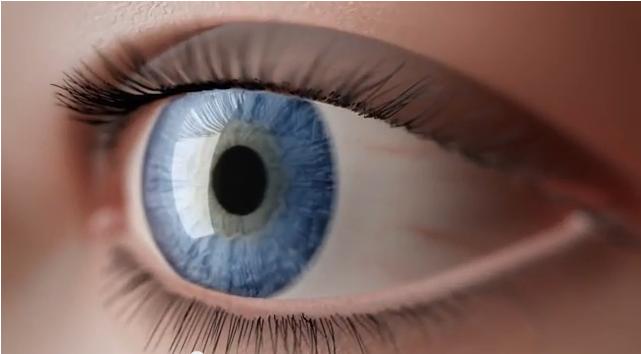 Die Augen Wie funktionieren die Augen? Ein kurzer Einblick in die Funktionsweise des Auges.