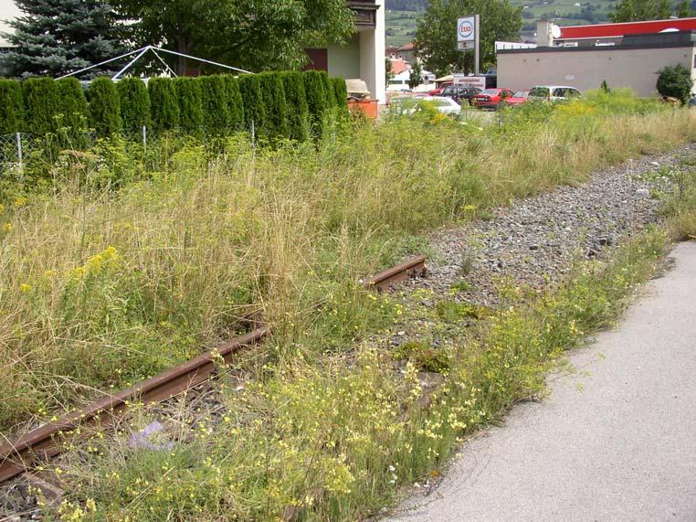 Dietmar Brandes (2004): Bahnhofsflora von Lienz in Osttirol (Österreich). 2/7 Abb. 2: Ruderales Arrhenatheretum mit Pastinaca sativa am Rande des Bf.