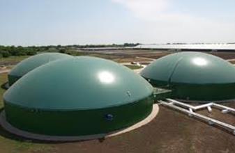 Biogas Application MSM MTU, Thailand MSM is MTU dealer in Thailand, who is successful in biogas market in Thailand Optimization and implementation of the new L32FB model for tropical conditions, (53