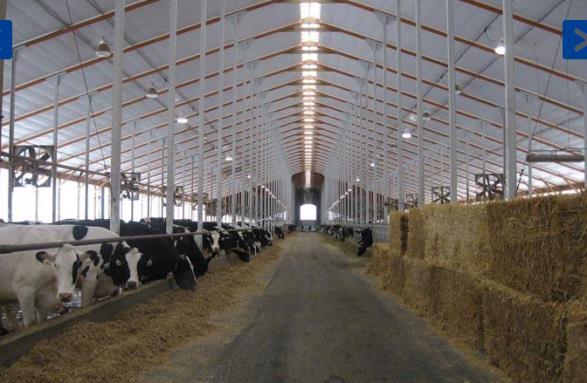 EXAMPLES OF CHP INSTALLATIONS Dairy Digester Location: