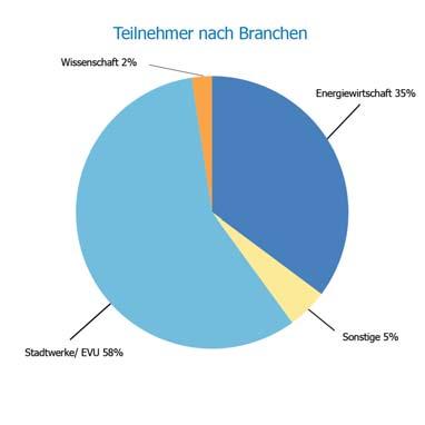 Energie goldgas Lechwerke Mitnetz Strom