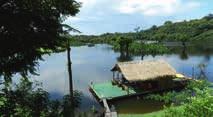 3 Bootsstunden von Manaus entfernt. Echtes Dschungel-Feeling zeitweise ohne Elektrizität. 2 bis 3 Nächte-Paket ab 387 pro Person inkl.