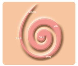 Karvraku külge kinnituvate karvakeste liikumine on väga väike: kuulmisläve juures (helirõhutase 0 db) on liikumine vaid 10-6 µm ning kõige kõrgema taseme puhul (umbes 120 db) on see kuni 1 µm! 2.3.