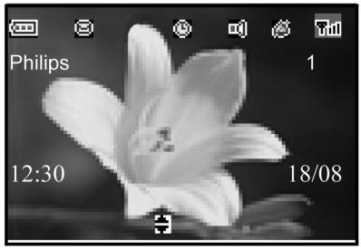 2.3 Angezeigte Symbole auf dem Display Akku(s) voll aufgeladen (100 %). Symbol blinkt während Ladevorgang bzw. bei geringer Akkukapazität. Akku(s) voll entladen (0 %).