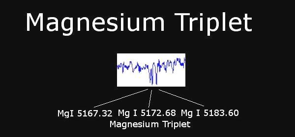 So ist beispielsweise das Magnesium Triplet um die Wellenlängen 5173A erkennbar. Die TiO Bande um 5180A lässt sich ebenfalls erahnen. Abb. 9: Magnesium Triplet im K-Stern β Gem 2.1.9 M-Stern: α Ori (Orion) Die M-Sterne sind die kühlsten Sterne, die Oberflächentemperatur beträgt gerade einmal noch höchstens 3.