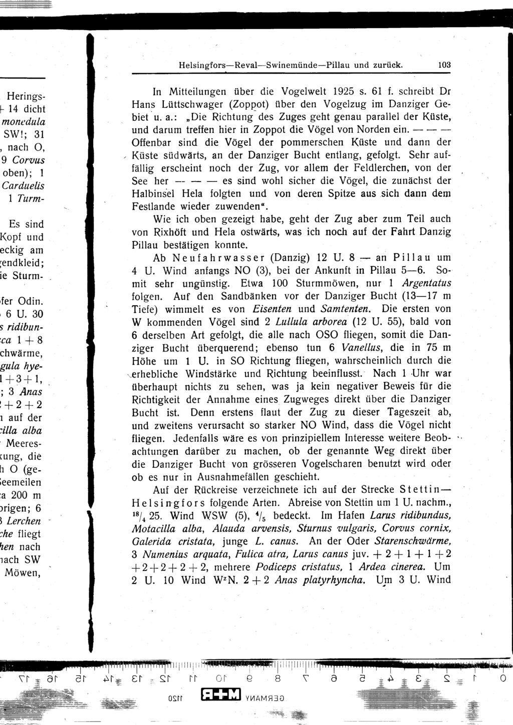Helsingfors-Reval-Swinemünde-Pillau und zurück. 103 In Mitteilungen über die Vogelwelt 1925 s. 61 f. schreibt Dr Hans Lüttschwager (Zoppot) über den Vogelzug im Danziger Gebiet. u. a.