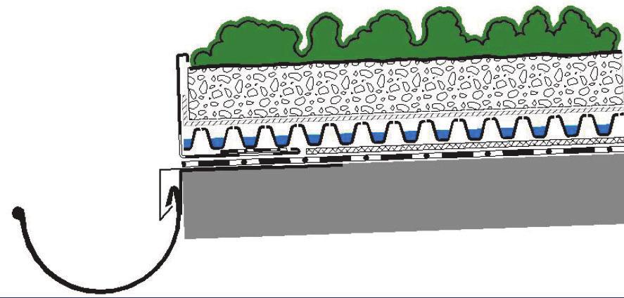 3. Regenentwässerungsanlagen 3.2 Regenentwässerungsanlagen bei Dachbegrünungen 3.