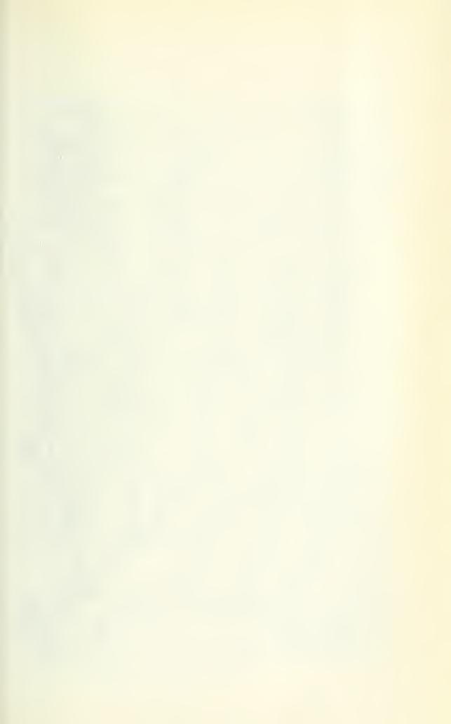 - 213 Holotypus: DINTER 8174 M! Südwestafrika Distr. Lüderitzbucht-Süd: Kahanstal, blühend 4. 12. 1934 (DINTER 8174 M!, B!), - Zwischen Wittpütz und Sendlingsdrift, blühend Oktober 1929 (R. v.