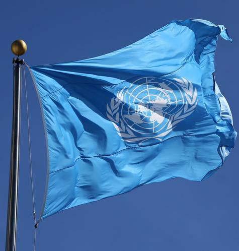 Globale Nachhaltigkeitsziele der Vereinten Nationen Im September 2015 hat die UN-Vollversammlung 17 Ziele für eine nachhaltige Entwicklung verabschiedet (SDG s). Ziel Nr.