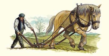 Und als Zugtiere waren Pferde viel schneller und auch besser zu lenken als Ochsen oder Esel.
