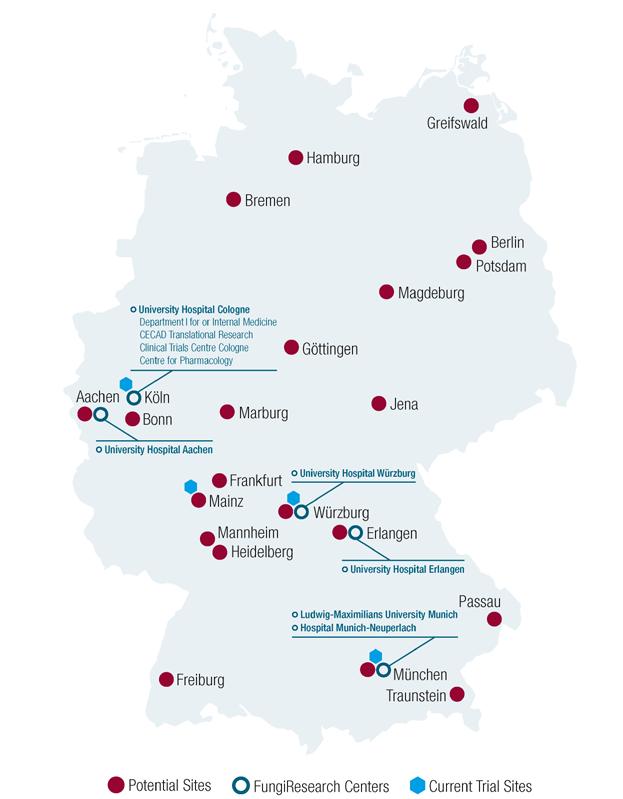 FungiResearch Struktur des Netzwerks 6 Gründungsmitglieder > 20 potenzielle Standorte in Deutschland Aktive internationale