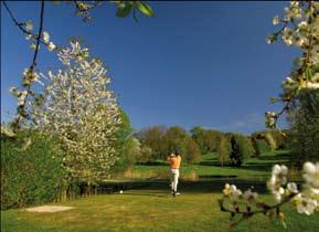 im Hohenloher Land. Golfspieler finden ein kleines Paradies beim Golf-Club Heilbronn-Hohenlohe im nahegelegenen Friedrichsruhe.