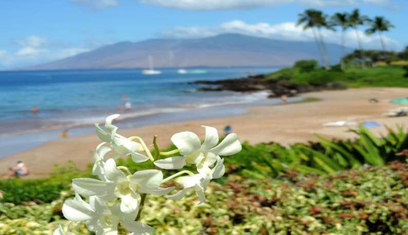 WORLD KOMBINATIONEN PASS Insel Maui, Wailea Beach, Hawaii Rund um den Globus zuverlässige Tourismus Partner Planen Sie ganz einfach mit unseren Experten Ihre individuelle Reisewünsche rund um
