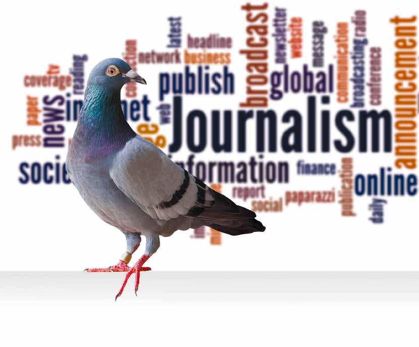 24 wie es ist Friedensjournalismus für Afrika Kann Journalismus Frieden schaffen? Wohl kaum.