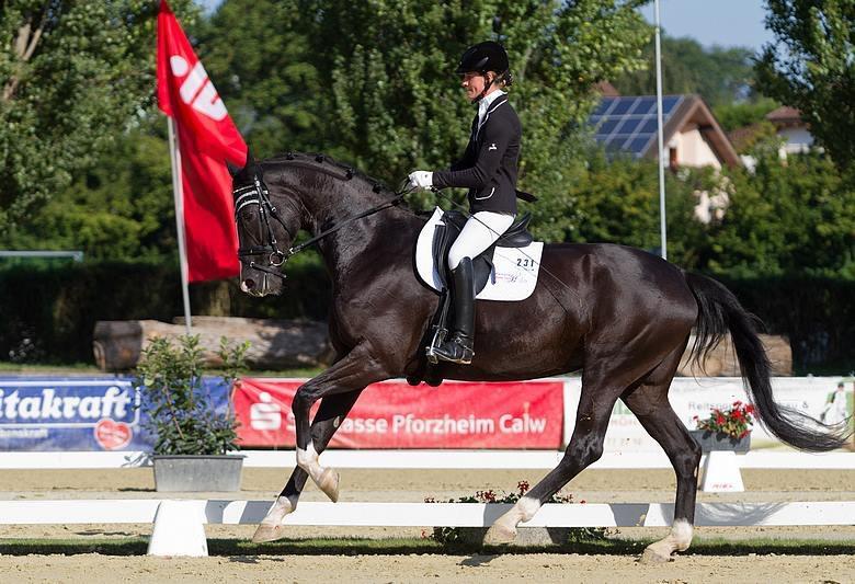 Dressurlehrgang mit Sabine Klenk Sabine Klenk ist Pferdewirtschaftsmeisterin, seit 2010 Trägerin des Goldenen Reitabzeichens und gebürtige Hallerin.